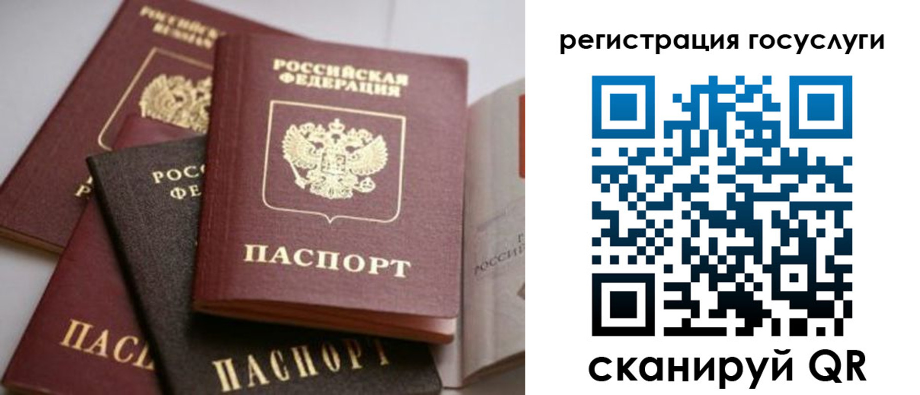 пропишу в квартире в Тверской области